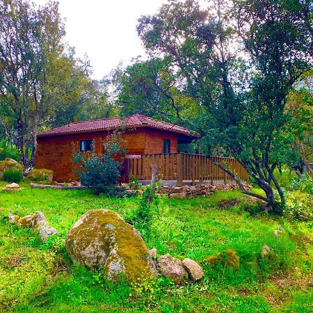 L'Aravone Lodge Sartene  Ngoại thất bức ảnh