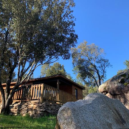 L'Aravone Lodge Sartene  Ngoại thất bức ảnh