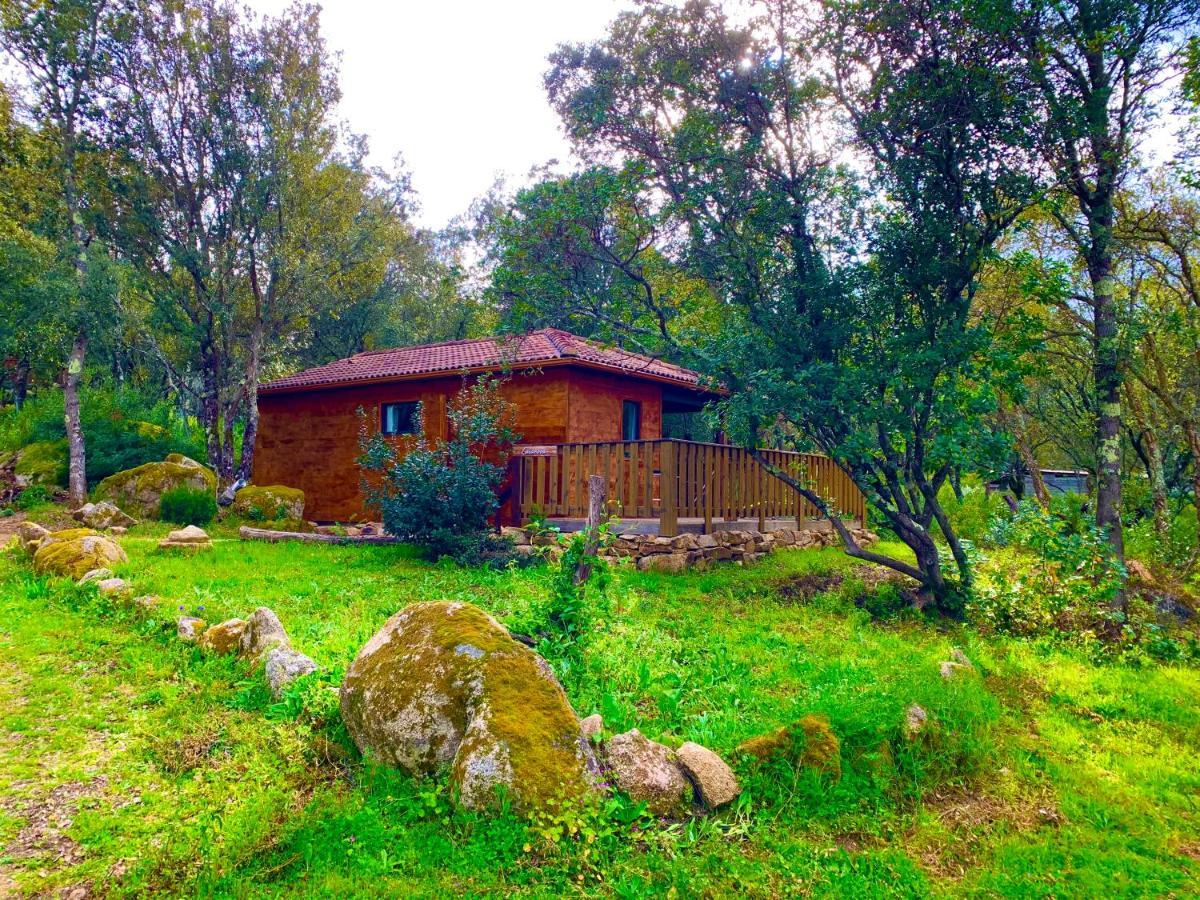 L'Aravone Lodge Sartene  Ngoại thất bức ảnh