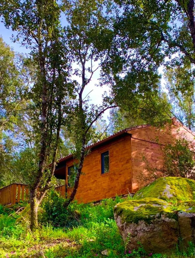 L'Aravone Lodge Sartene  Ngoại thất bức ảnh